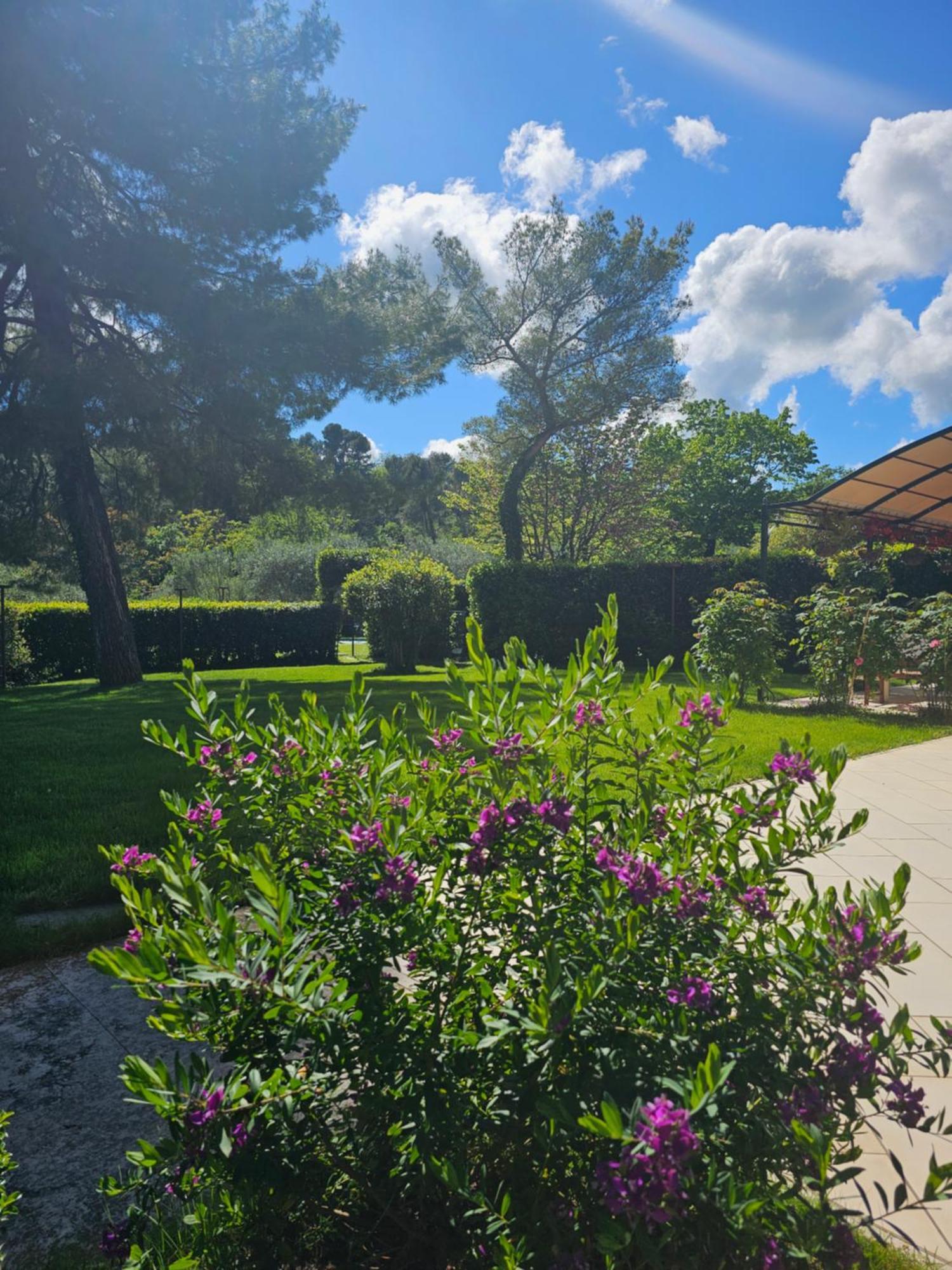 Villa Monacelli B&B Fano Exterior foto